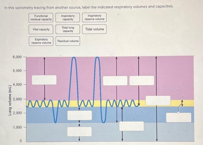 Solved In this spirometry tracing from another source, label | Chegg.com