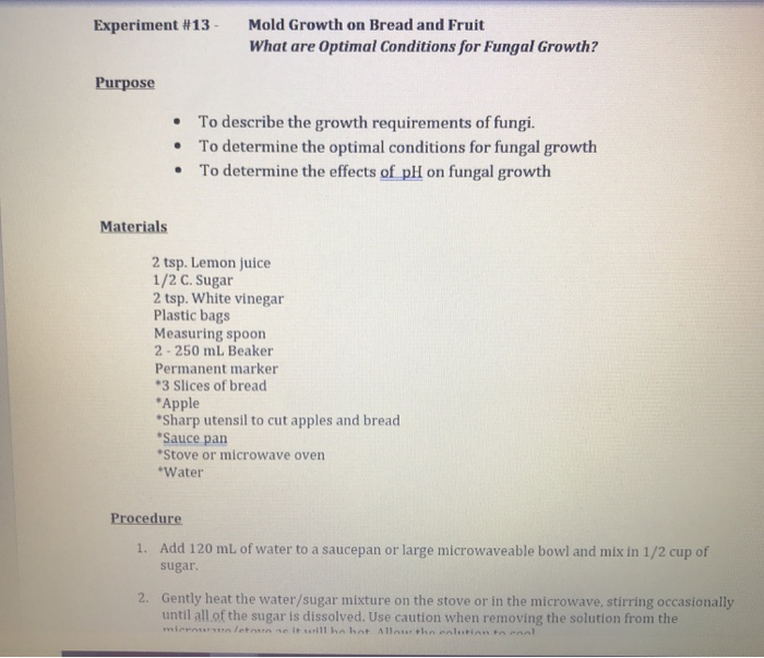 fungal growth on bread experiment