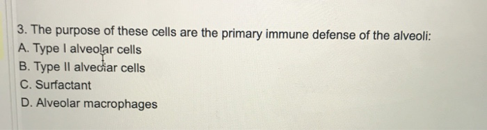 Solved 3. The purpose of these cells are the primary immune | Chegg.com