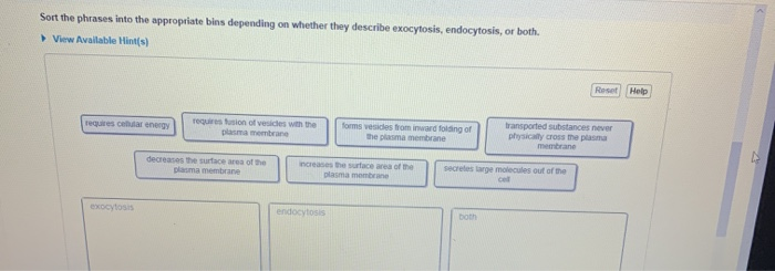 sort-the-phrases-into-the-appropriate-bins-depending-chegg