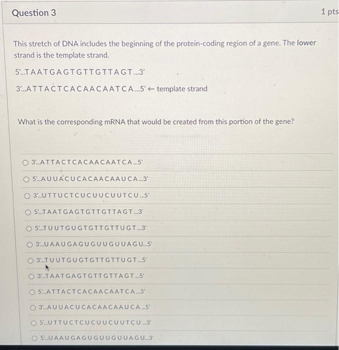 Solved This stretch of DNA includes the beginning of the | Chegg.com