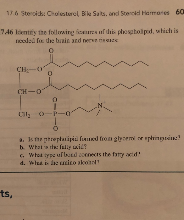 Solved 176 Steroids Cholesterol Bile Salts And Steroid