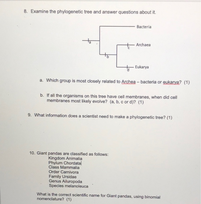 Solved 8. Examine The Phylogenetic Tree And Answer Questions | Chegg.com