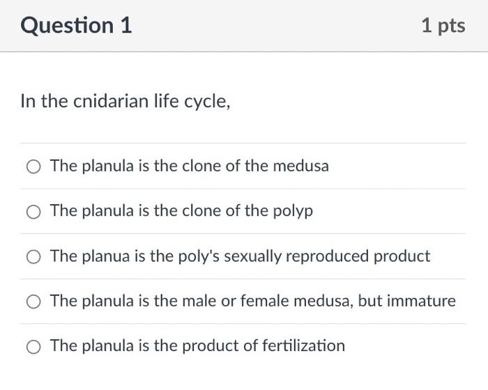 In the cnidarian life cycle, The planula is the clone | Chegg.com