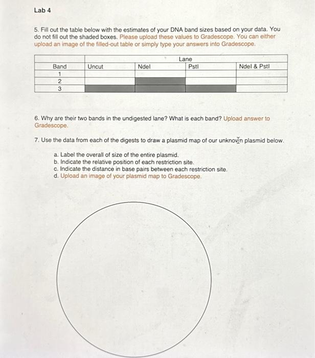 Fill out the table below with the estimates of your | Chegg.com