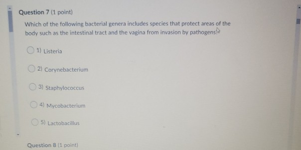 Solved Question 7 (1 point) Which of the following bacterial | Chegg.com