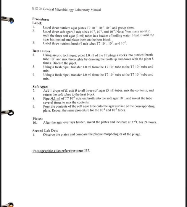 Solved BIO 3: General Microbiology Laboratory Manual | Chegg.com