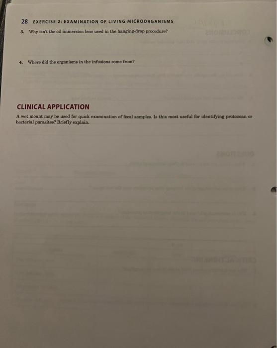 Solved 28 EXERCISE 2: EXAMINATION OF LIVING MICROORGANISMS | Chegg.com