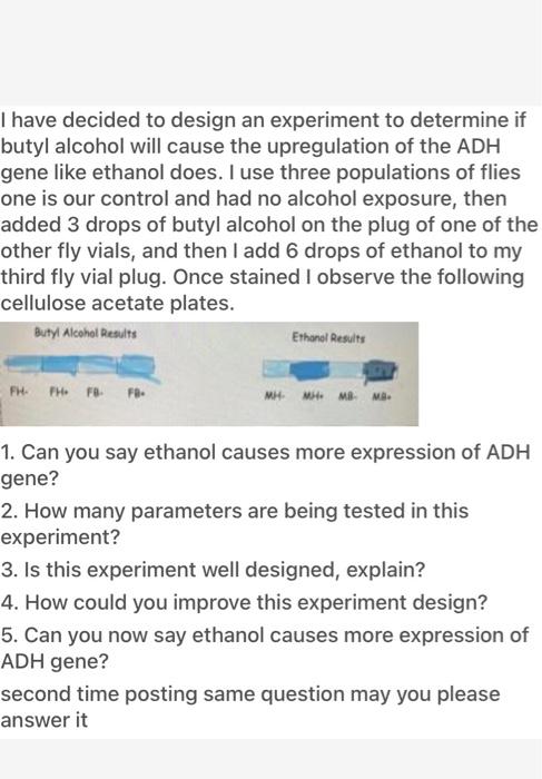 alcohol dehydrogenase experiment