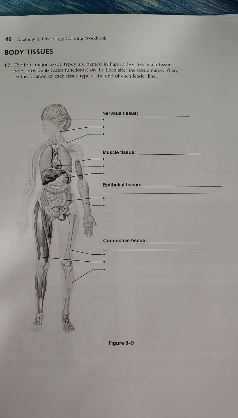 Solved 46 Anatomy & Physiology Coloring Workbook BODY | Chegg.com