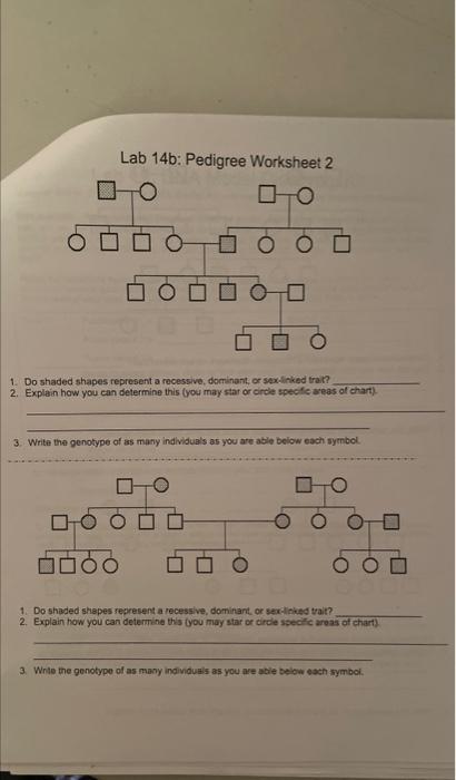 Lab 14b: Pedigree Worksheet 2
1. Do shaded shapes represent a recessive, dominant, or sextinked tran?
2. Explain how you can