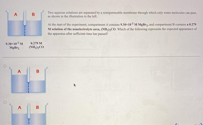 Solved А B Two Aqueous Solutions Are Separated By A