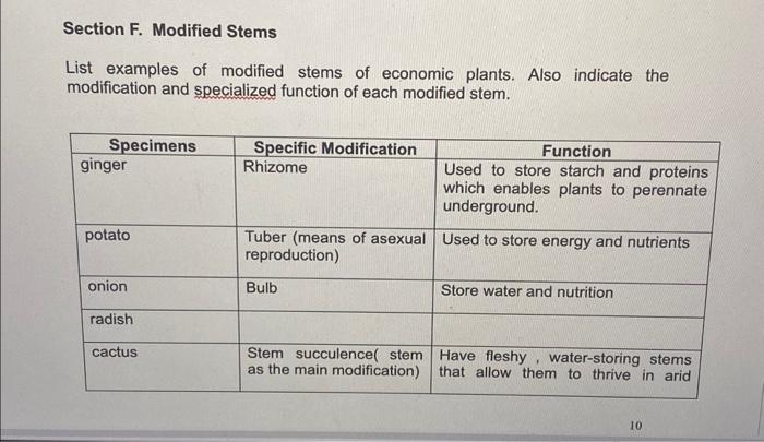 Solved Section F. Modified Stems List examples of modified | Chegg.com