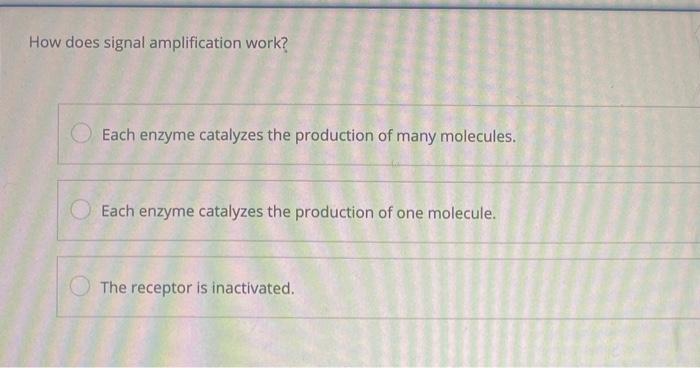 Solved How Does Signal Amplification Work Each Enzyme Chegg