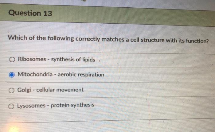 Question 11 Microtubules Contribute To Each Of The Chegg Com