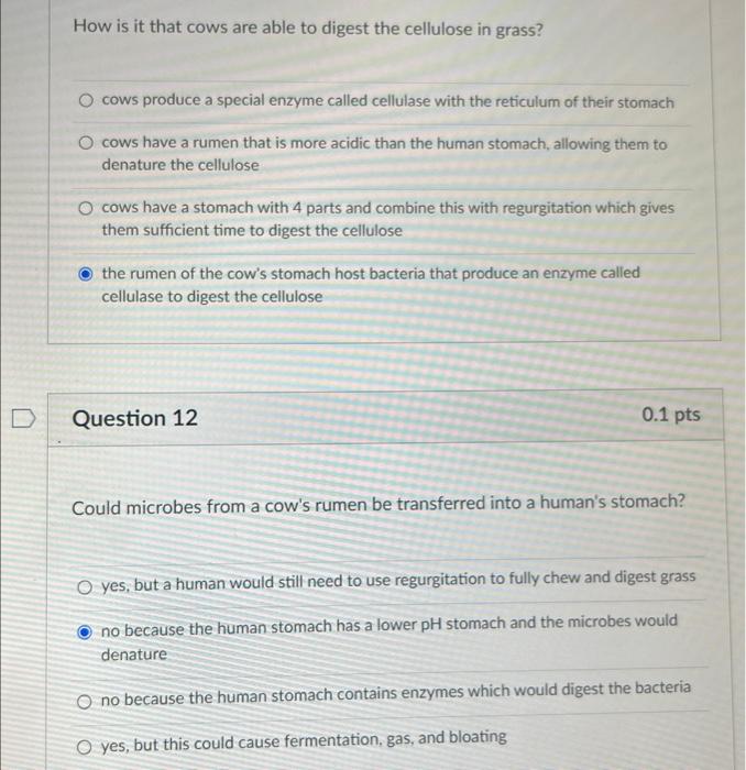 case study cellulose answer key cows