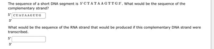 Solved The sequence of a short DNA segment is | Chegg.com