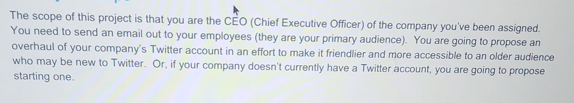 The scope of this project is that you are the CEO | Chegg.com