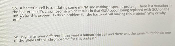 Solved Sb. A bacterial cell is translating some mRNA and | Chegg.com