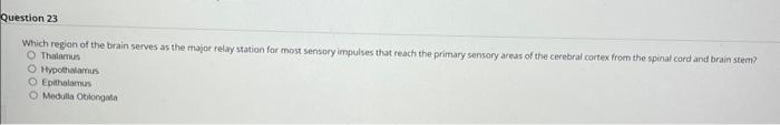 Solved Which of the following brain structures consists of | Chegg.com