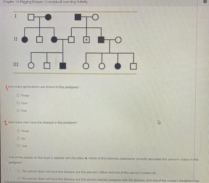 Solved Chapter 14 Digging Deeper: Conceptual Learning | Chegg.com