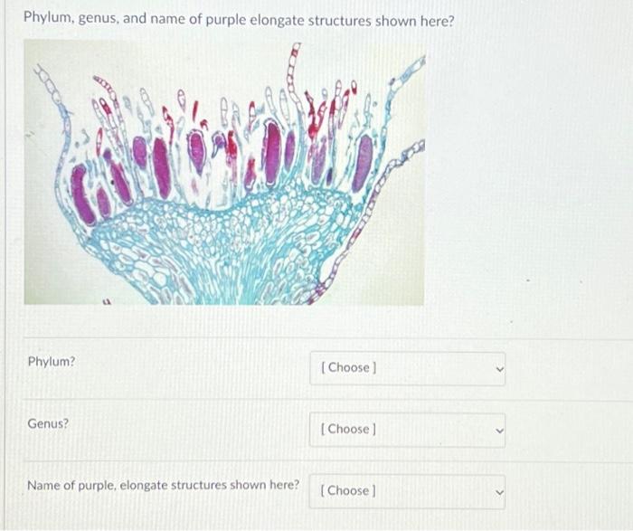 student submitted image, transcription available below