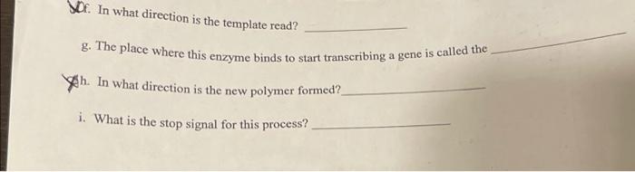 Solved Transcription and Translation Worksheet 1. Use the | Chegg.com