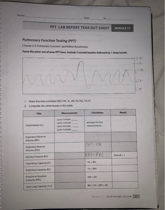 Name Date TA PET LAB REPORT TEAR OUT SHEET MODULE