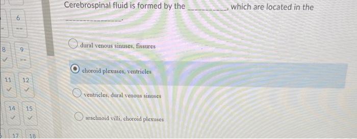 Solved Cerebrospinal Fluid Is Formed By The Which Are Chegg Com