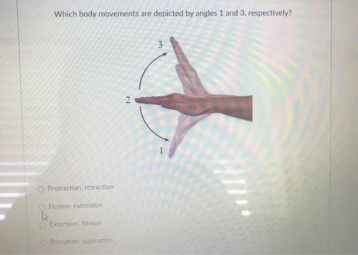 Pronation-supination movement angle.