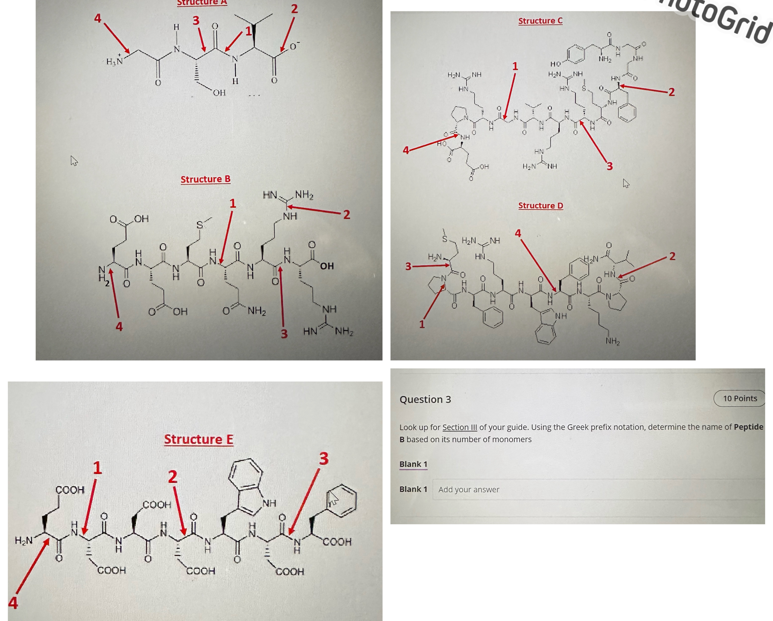 Structure CStructure BStructure DQuestion 310 | Chegg.com