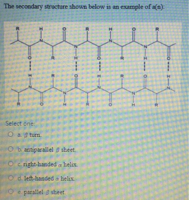 Solved The secondary structure shown below is an example of | Chegg.com