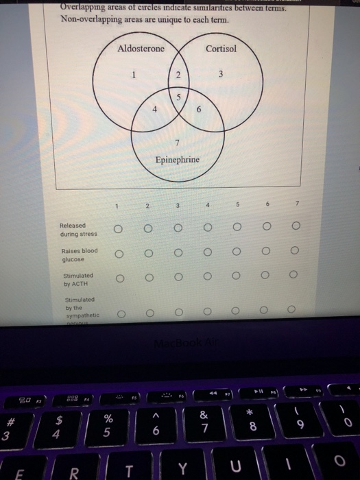 Solved Overlapping areas of circles indicate similarities | Chegg.com