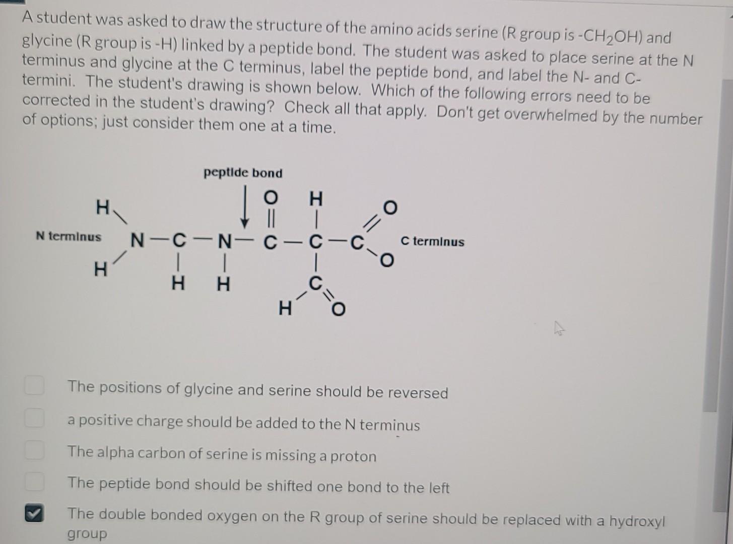 Properties of Amino Acids