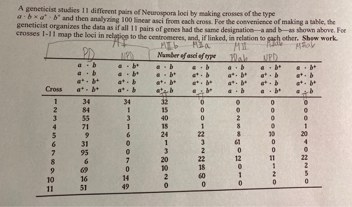 TE a geneticist studies 11 different pairs of neurospora loci by making crosses of the type abxab and then analyzing 100 lin