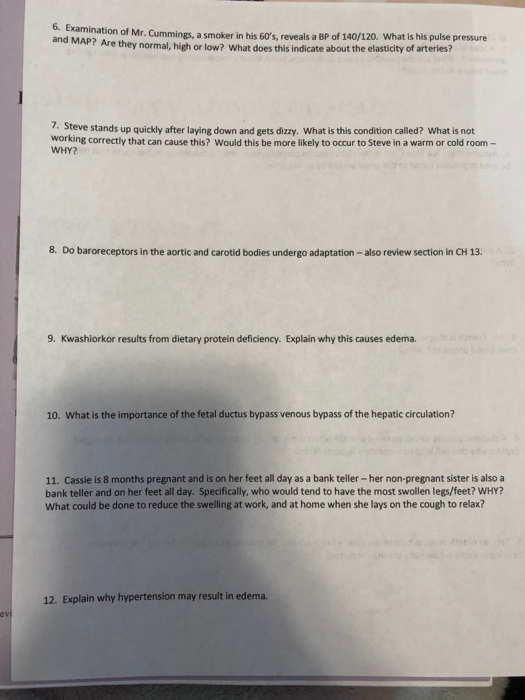 Solved BI 232 CH 19 Name: Blood Vessels Worksheet 1. A scan | Chegg.com