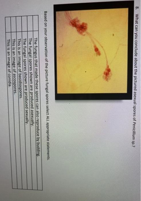 Solved 8. What can you conclude about the pictured asexual | Chegg.com