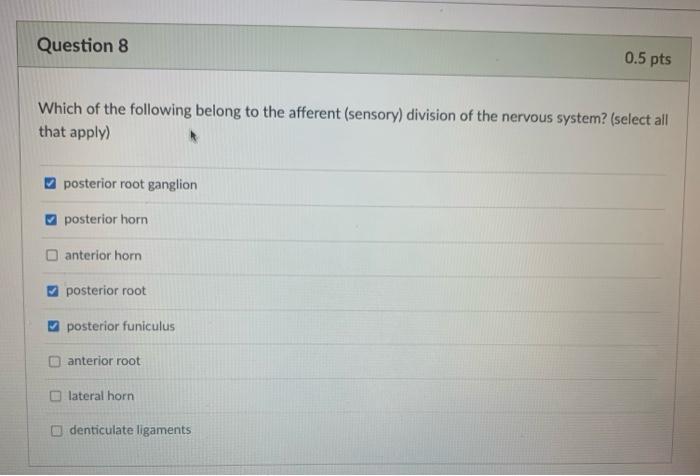 Question 8 0.5 pts Which of the following belong to the afferent (sensory) division of the nervous system? (select all that a