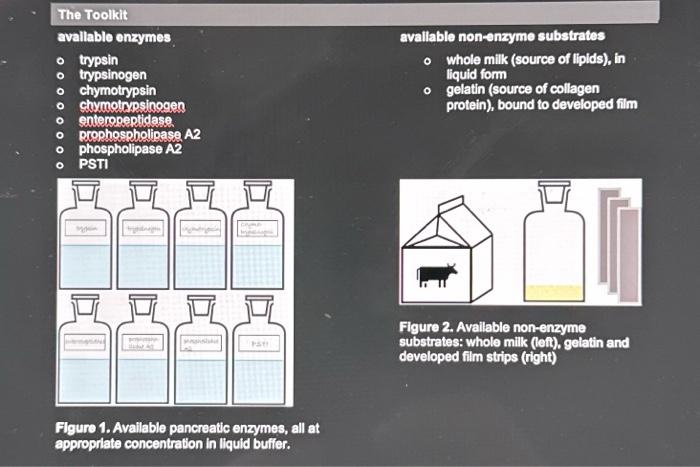 Solved Choose a Question and Design an Experiment Now that | Chegg.com