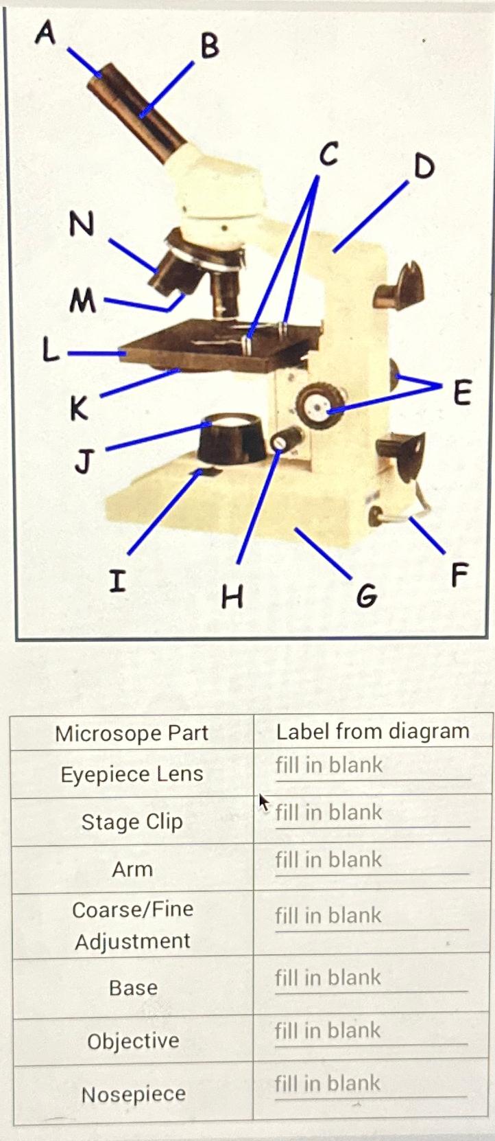 Solved Microsope Part Label from diagram fill in blank | Chegg.com