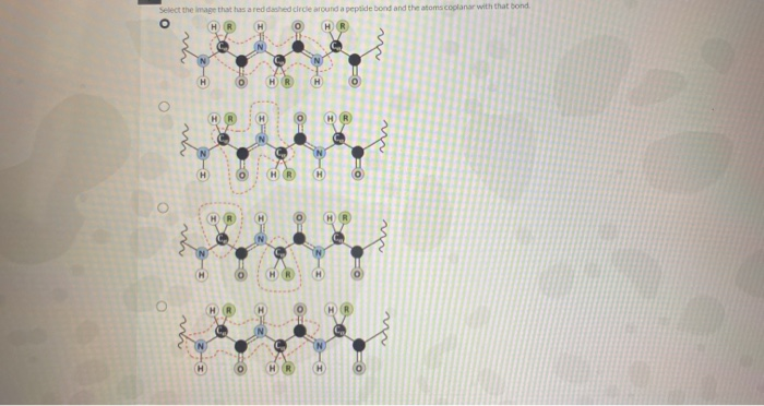 Solved 5 0.5 points Identify the image that shows the four | Chegg.com