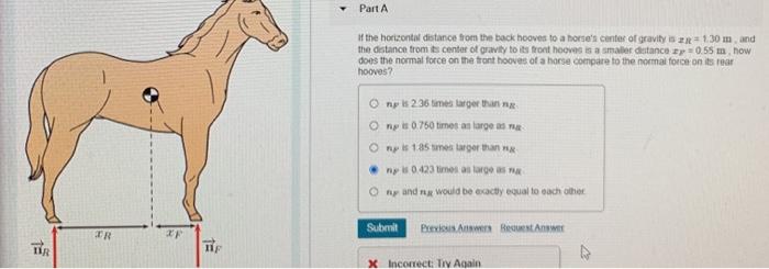 Solved Part A It The Horizont Distance From The Back Hooves | Chegg.com