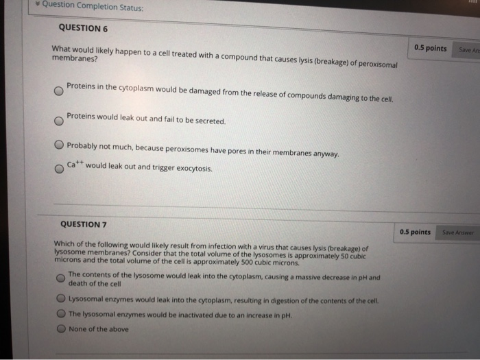 Solved question completion Status: QUESTION 1 0.5 points | Chegg.com