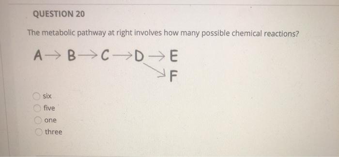 Solved QUESTION 20 The metabolic pathway at right involves | Chegg.com