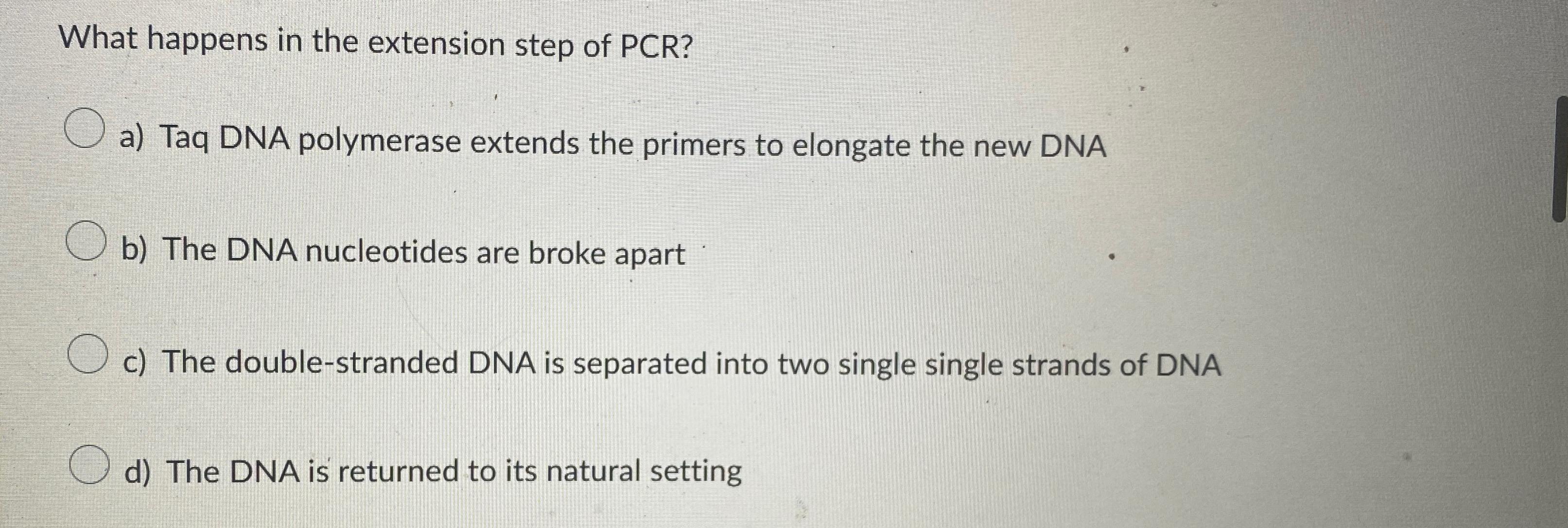 Solved What happens in the extension step of PCR?a) ﻿Taq DNA