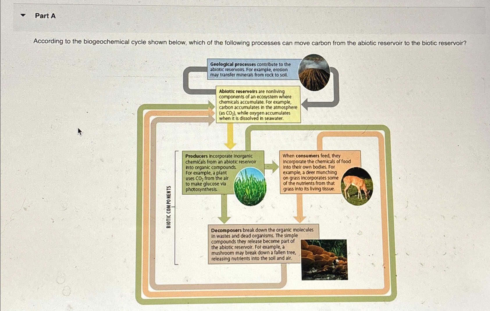 Part AAccording to the biogeochemical cycle shown