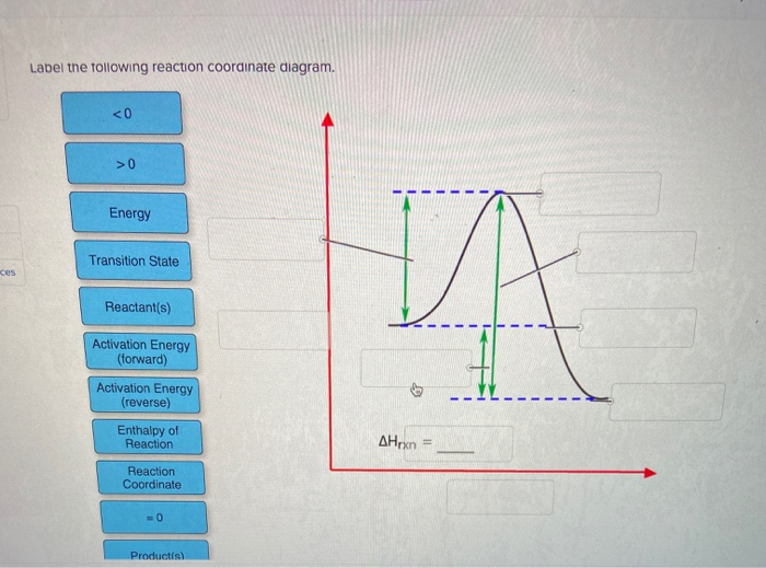 Solved Label The Following Reaction Coordinate Diagram