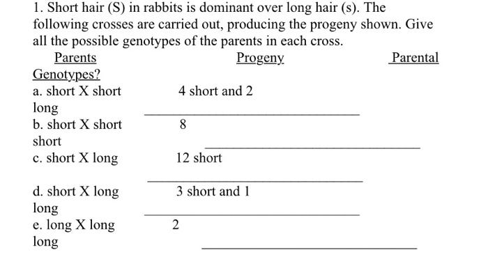 Solved 1. Short hair (S) in rabbits is dominant over long | Chegg.com