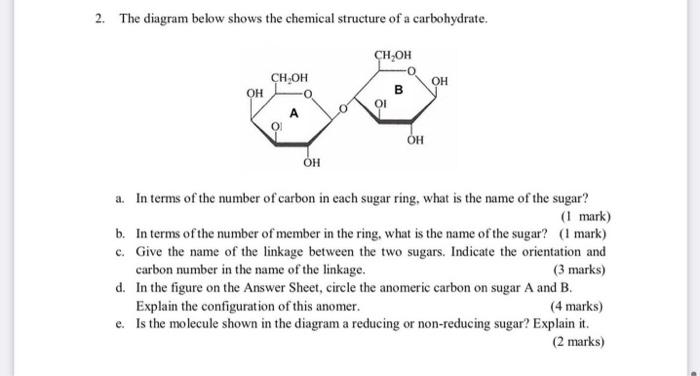 carbohydrate diagram structure