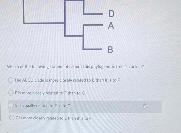 Solved What does herd immunity mean? When enough people are